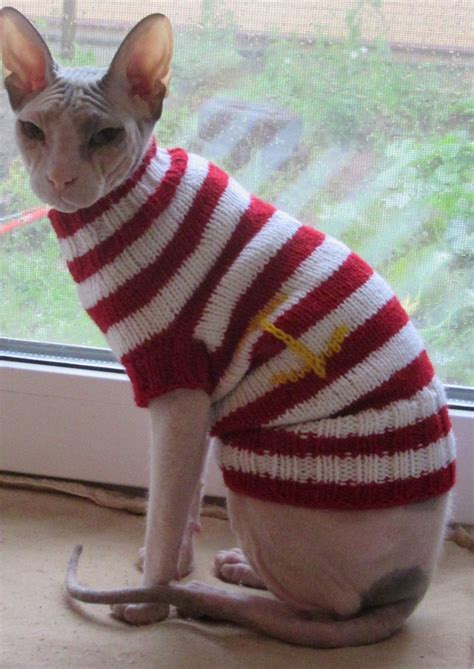 Clothing For Cats Clothes For Sphynx Cat Clothes Sweater Etsy Cat