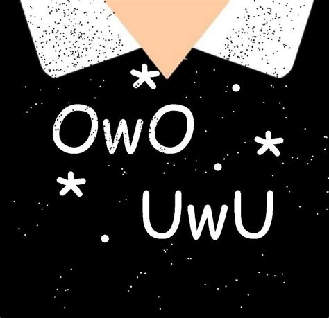 Camiseta Roblox De Owo Uwu