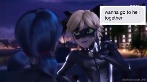 Pin By Shawn Leary On Yassss Miraculous Ladybug Chat Noir