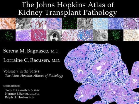 Johns Hopkins Pathology Atlases For The Ipad Ipad Apps