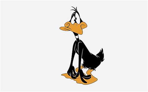 Check our site out if you want daffy duck pictures or images to post on myspace. HD wallpaper: cartoons, daffy duck, funny | Wallpaper Flare
