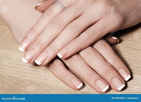 Nails With Perfect French Manicure Care For Female Hands Stock Photo