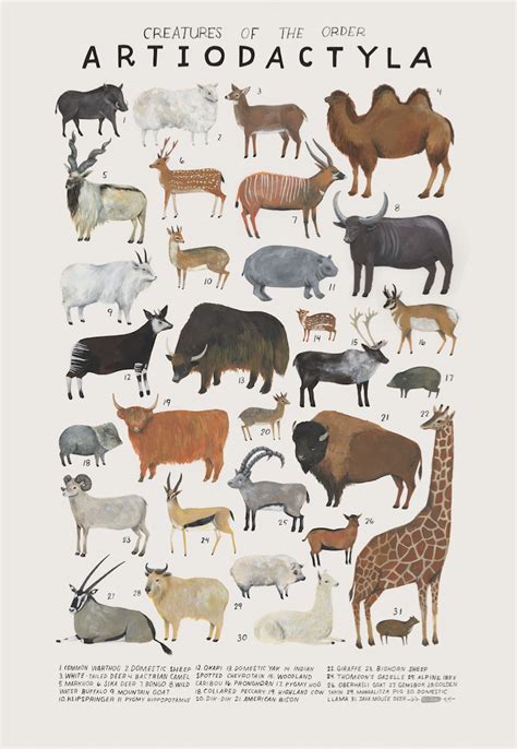 Creatures Of The Order Artiodactyla 2016 Art Print Of An
