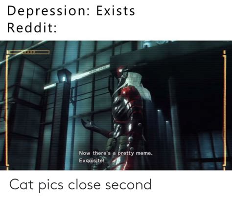 Depression Exists Reddit Now Theres A Pretty Meme Exquisite Cat Pics