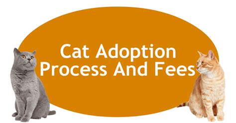 Foster care volunteers provide temporary care for kittens, puppies, dogs and cats. Cat Adoption Process & Fees | Porter County Animal Shelter, IN
