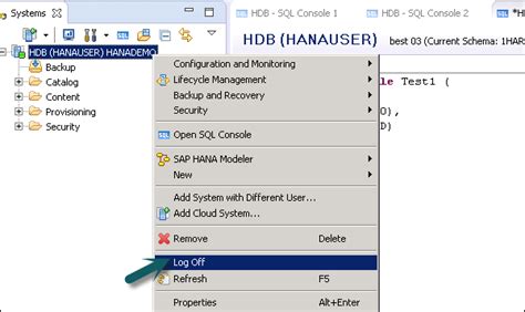 How To Unlock Ddic User In Sap Hana Activate Any User Either With