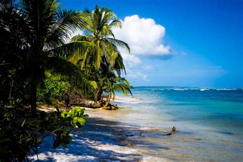 Las 10 Mejores Playas De Panamá Panamá Guía