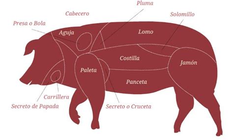 Las Partes Del Cerdo Y Cómo Cocinarlas Infografía Montesierra