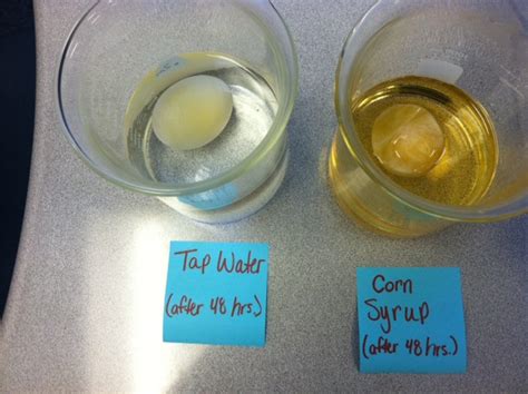 It also answered the question of how does the diffusion of water know where to go in terms of into our out the cell. The Science Scoop: Egg Osmosis
