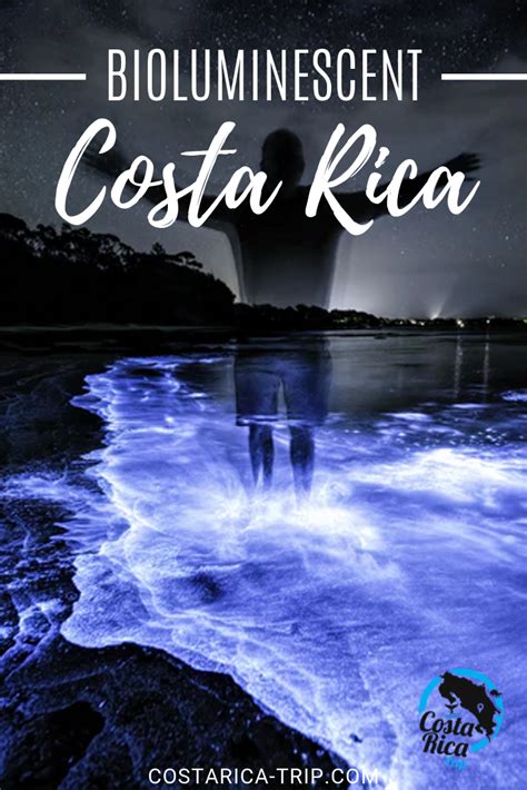 Bioluminescent Kayak Tour Bioluminescence Tour In Costa Rica Artofit