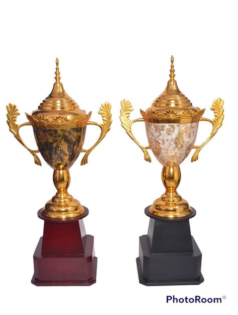 Gold Metal Cup Trophies At Rs 1230piece In Moradabad Id 2849665818262