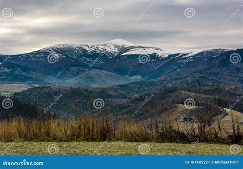 Grassy Meadow In Mountains With Snowy Peaks Stock Image Image Of