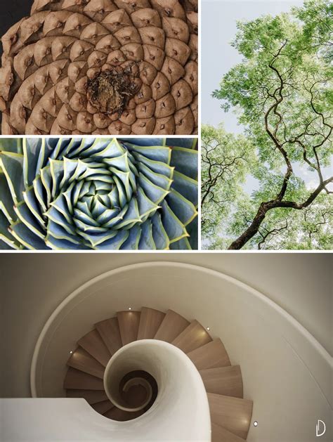 Biophilic And Sustainable Interior Design · Biophilic Moodboards