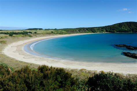 New Zealands Top 10 Beaches Auckland Localist