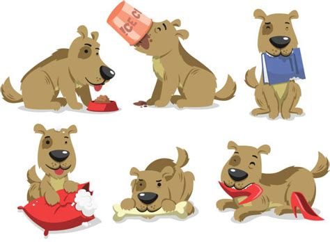 Dog Bite Illustrations Royalty Free Vector Graphics And Clip Art Istock