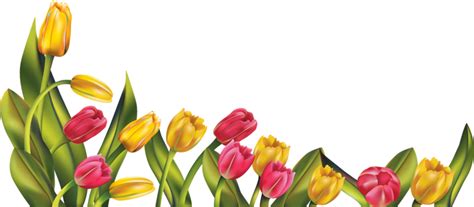 Download High Quality Spring Flowers Clipart Banner Transparent Png