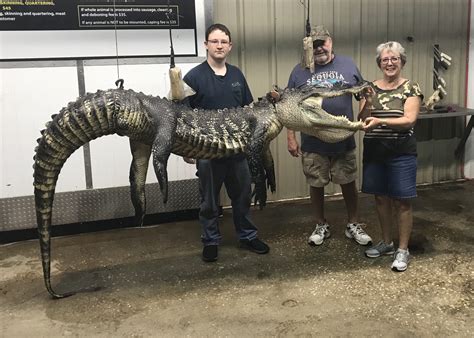 2019 Gator Gallery Georgia Outdoor News