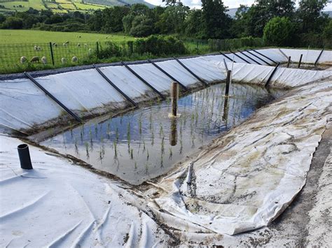 Carlow Sludge Drying Reed Beds Glan Agua