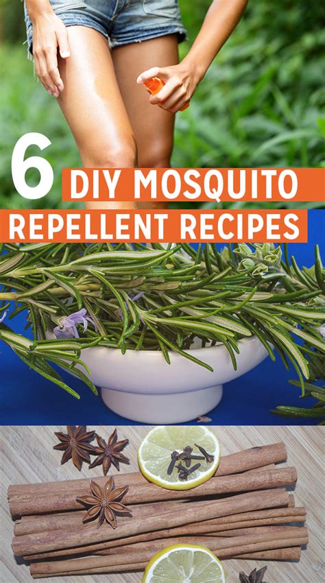 We did not find results for: 6 Homemade Mosquito Repellent Recipes for RVers | RoverPass