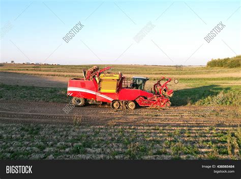 Potato Harvester Image And Photo Free Trial Bigstock