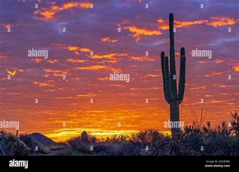 Arizona Desert Hi Res Stock Photography And Images Alamy