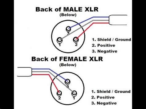 Neutrik Xlr Wiring Diagram Combo Xlr Wiring Diagram