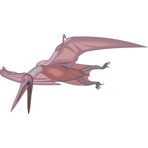 Flying Pterodactylus Png Svg Clip Art For Web Download Clip Art Png