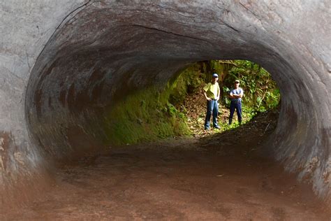 These Giant Tunnels In South America Arent Caves Theyre Prehistoric