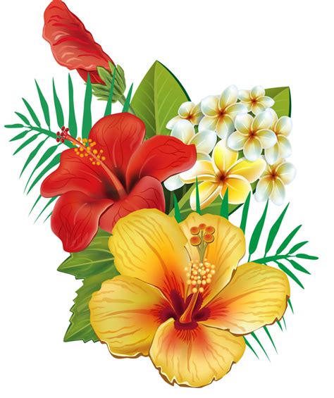 Eliza Mckinlay Exotic Tropical Flowers Clipart Yellow Exotic Flower