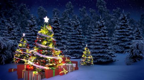 Picture Christmas Spruce Christmas Tree Ts 1920x1080