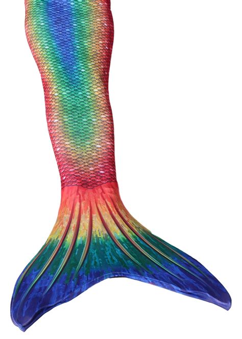 Mermaid Tails Mermaid Tail Mermaid Tails For Kids The Mermaid