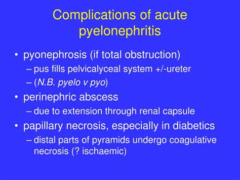 Acute pyelonephritides) is a bacterial infection of the renal pelvis and parenchyma most commonly seen in young women. PPT - Urinary system 6 Diseases of the renal tubule and ...