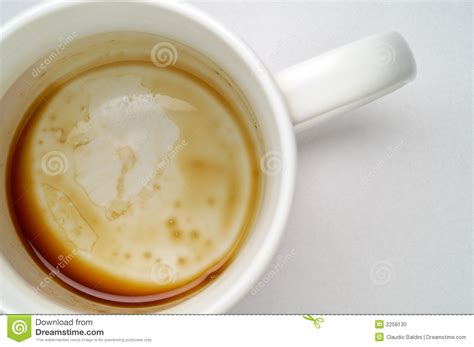 Photo coffee cups duran aesthetic royalty free pictures photography coffee empty cup getting up early. Empty coffee cup closeup stock photo. Image of robusta ...