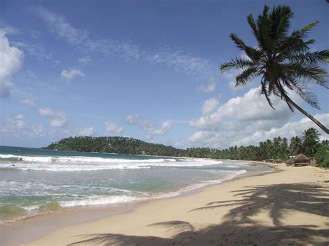 Ella To Mirissa Beach Sri Lanka