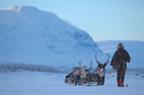 Indigenous People Of Sweden The Sámi