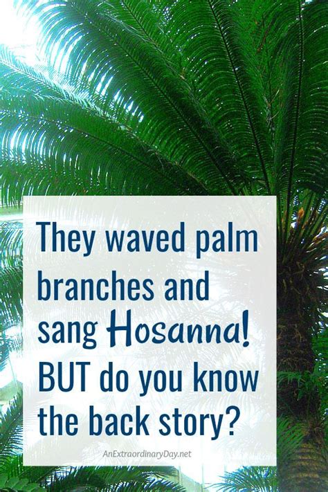 What Is The Meaning Behind The Hosannas And Palm Sunday Scripture