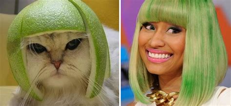10 Incredible Cats That Look Like Famous People