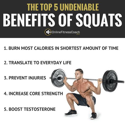 Squats The King Of All Exercises Online Fitness Coach