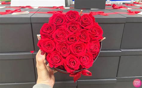 Valentines Day 50 Roses For 6499 At Costco Free Stuff Finder