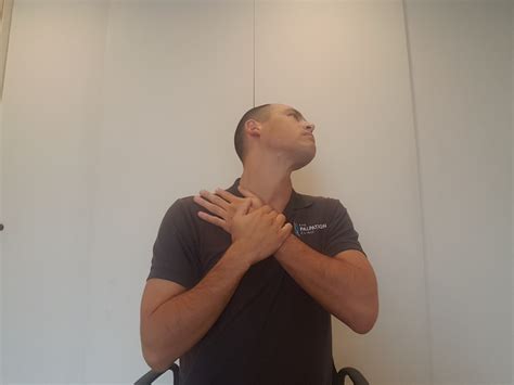 5 Neck Stretches For The Office Worker Geelong Myotherapy