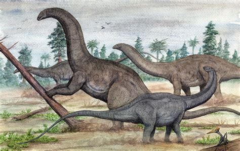 Prehistoric Beast Of The Week Apatosaurus Beast Of The Week