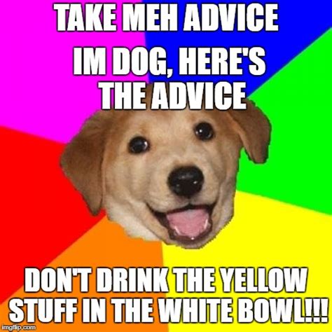 Advice Dog Meme Imgflip