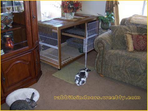 Diy Bunny Cage Diy Rabbit Cage Indoor Rabbit Cage Bunny Cages