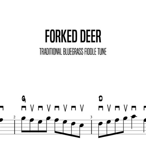 Forked Deer Mickey Abraham Beginner Lessons With Marcel