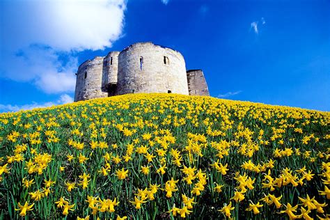 Best Things To Do In Yorkshire In Spring Lonely Planet