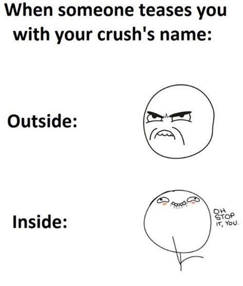 Top 100 Funny Crush Memes That Are So True Funny Crush Memes Cute Crush Quotes Secret Crush