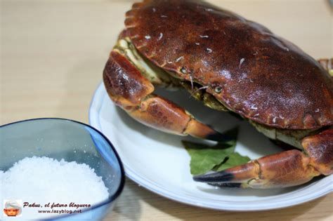 Dejamos enfriar totalmente, cubrimos con un paño de cocina mojado en agua de la cocción. Lazy Blog: Cómo cocer bien un buey de mar o una centolla