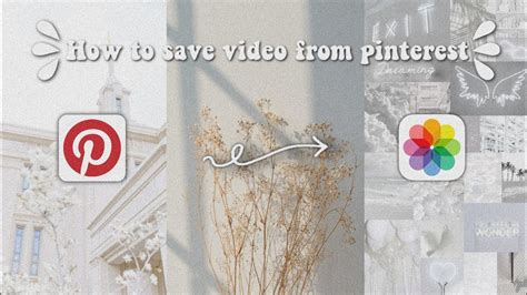 How To Save Video From Pinterest Hqnnibear Youtube