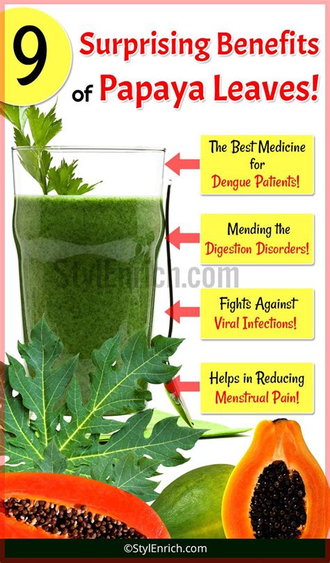 Benefits Of Juice Of Papaya Leaves Health Benefits