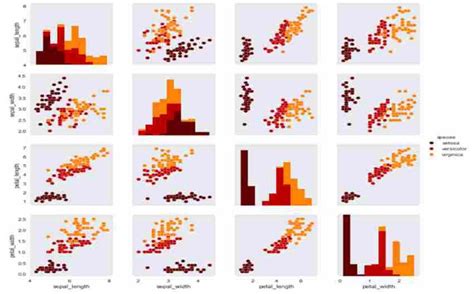 Data Visualization Using Python Coding ON Overnight